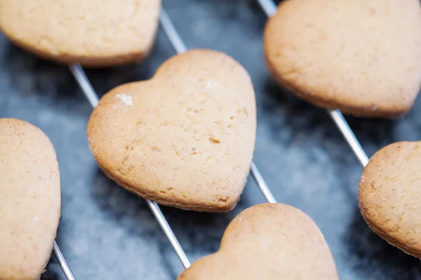 Close up of freshly baked heart shaped cookies — Stock Photo, Image