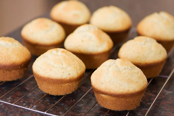 Fresh vanilla muffins cooling off — Stock Photo, Image