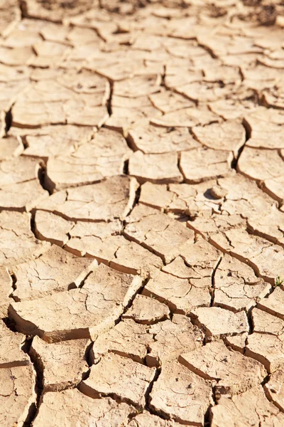 Dry cracked mud in dried up waterhole — Stock Photo, Image