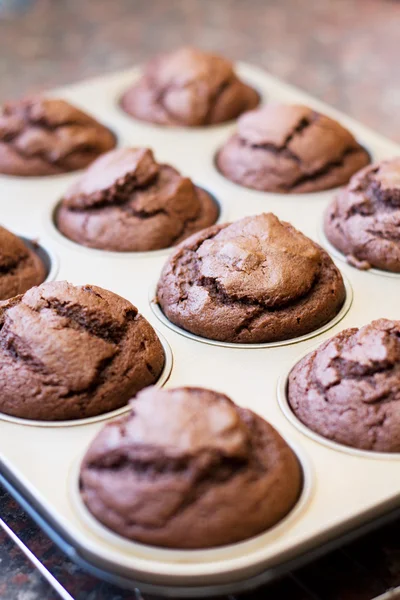 Doze queques de chocolate esfriando — Fotografia de Stock