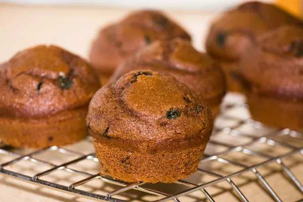 Muffins de hortelã-chocolate recém-assados — Fotografia de Stock