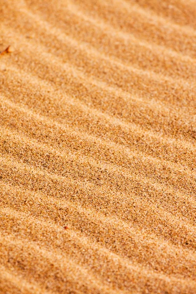 Rimpel patronen op het strand zand — Stockfoto