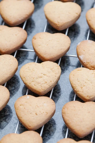 Heart shaped cookies cooling off on metal grid — Stock Photo, Image