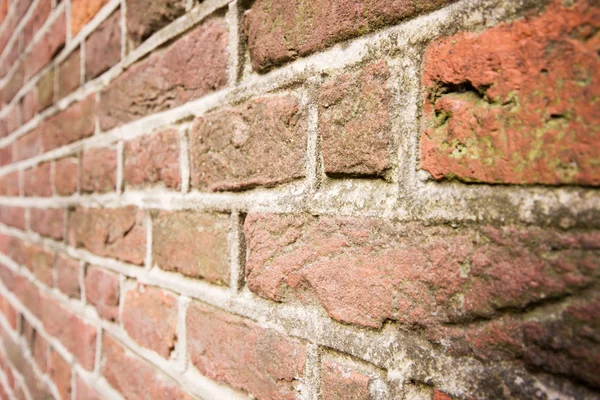 Vecchio muro di mattoni con muschio che cresce su di esso — Foto Stock