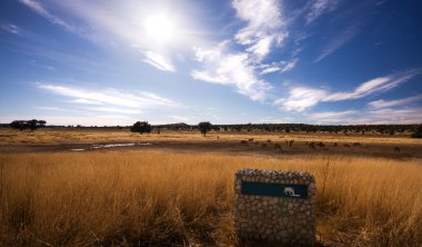 Pano landscape of watering hole in Kgalagadi clipart