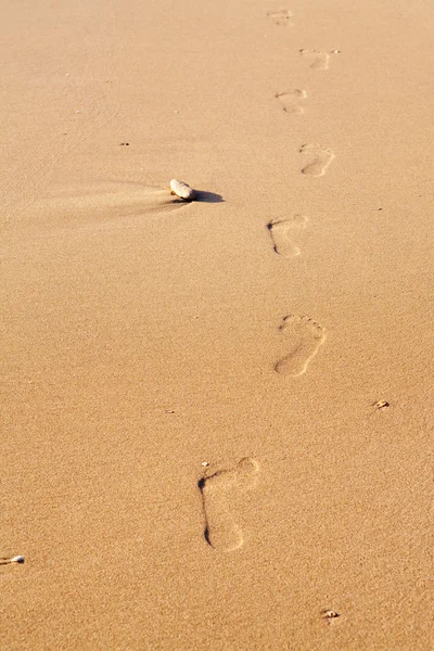 Rad av mänskliga fotavtryck på stranden sand — Stockfoto