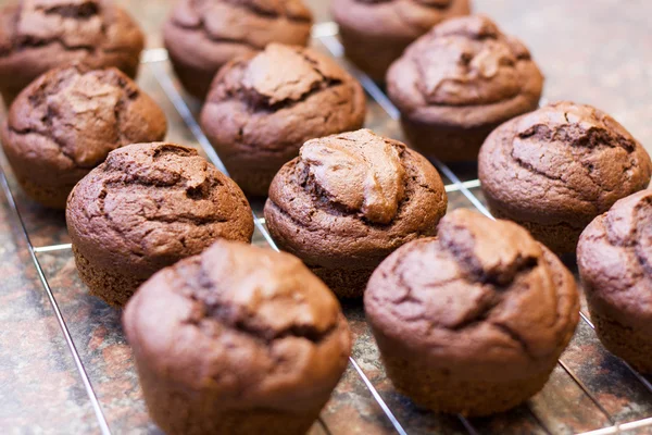 Doze queques de chocolate recém-assados — Fotografia de Stock