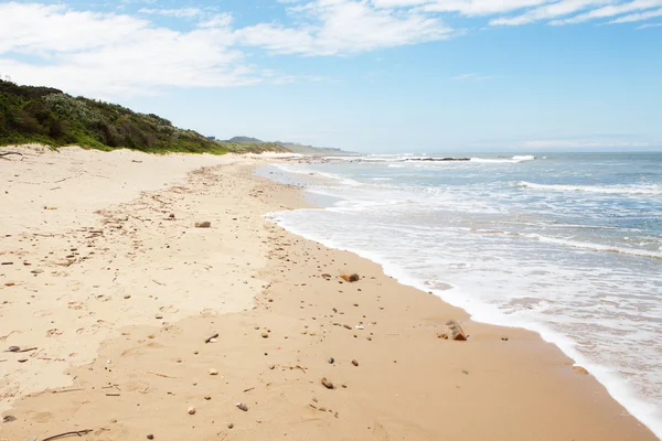 Côtier avec végétation luxuriante et vagues — Photo