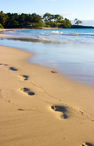 Footprints on the wet sand, Hawaii — Stock Photo, Image