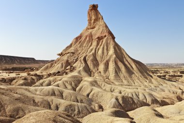 Onat de tierra, las bardenas reales Milli Parkı, İspanya