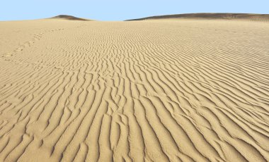 Desert sand dunes in Maspalomas Oasis, Gran Canaria at Canary Islands clipart