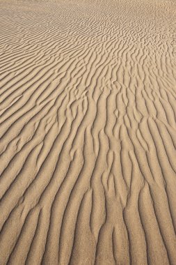 altın kum ile doku, maspalomas, Kanarya Adaları