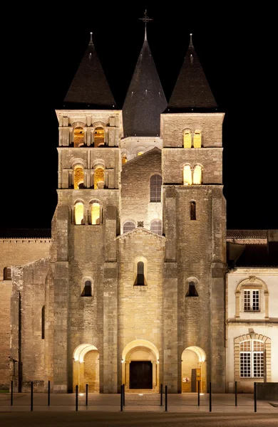 La basilique du Sacré Cœur à Paray-le-Monial, prise de vue nocturne — Photo