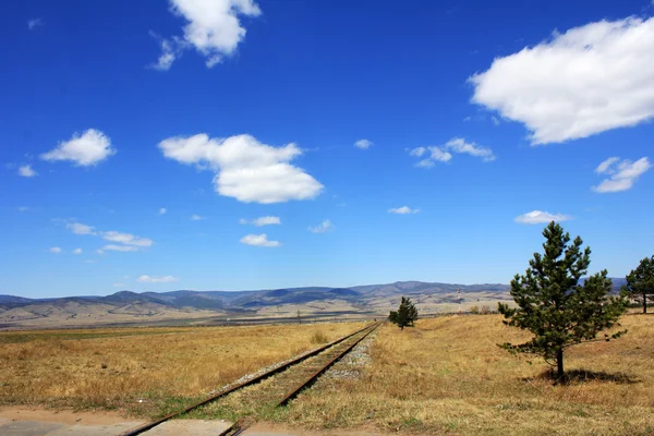 Caminho de ferro de bitola estreita — Fotografia de Stock