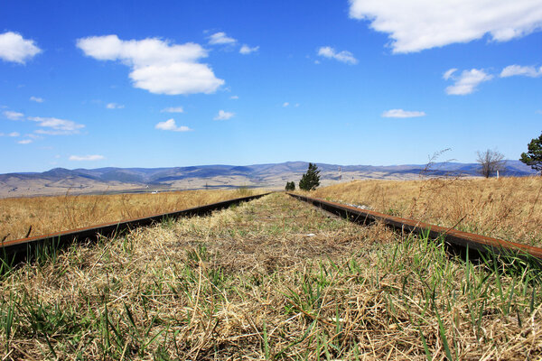 рельсы и перспективы
