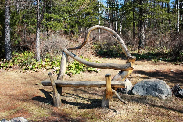 Ovanliga bänk i skogen — Stockfoto