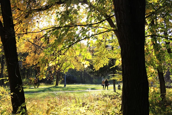 Autumn Park walk — Stock Photo, Image