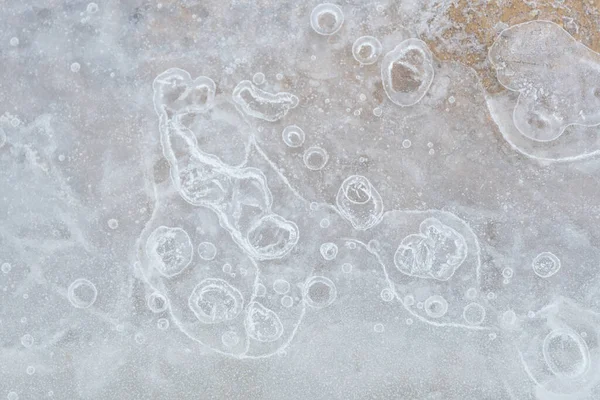 Кристали Льоду Квіти Льоду Мороз Замерзлий Зимовий Візерунок — стокове фото