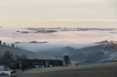 Vadi sisi, yer sisi ve manzaralı tepelik bir arazide parlak bir sis denizi.