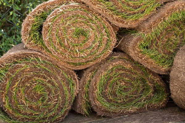 Kendi bahçıvanlığını kendin tasarla. Doğal çimenleri yuvarla.