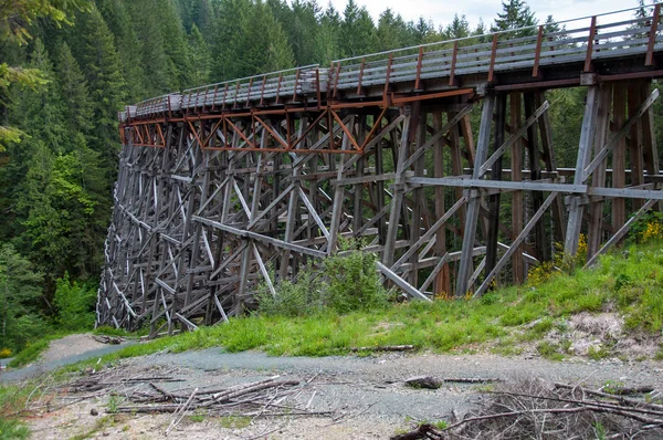 Kinsol Schraag bridge — Stockfoto