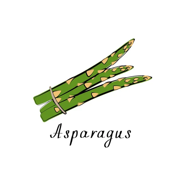 Asperges logo. Plantaardig icoon. Vector platte illustratie — Stockvector