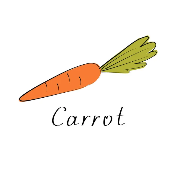 Carrot vector illustration. Vegetable simple sign. Flat — Stock Vector