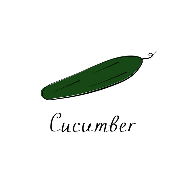 Illustration de concombre isolée sur fond blanc. Vecteur plat signe — Image vectorielle