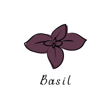 Fesleğen. Vektör düz çizim. Fesleğen otu logosu