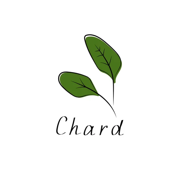 Icône Salade Chard Signe Légumes Aux Herbes Illustration Vectorielle Plate — Image vectorielle