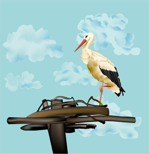 Stork on the pillar