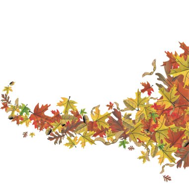 Yaprakların arkaplanı