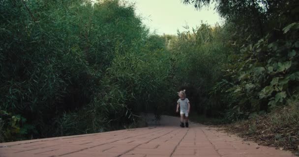 Nettes kleines Mädchen läuft am Sommerabend im Park im Freien — Stockvideo