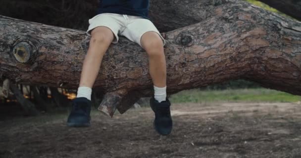 Närbild liten pojke dinglande ben på en gammal tall på den varma kvällen — Stockvideo