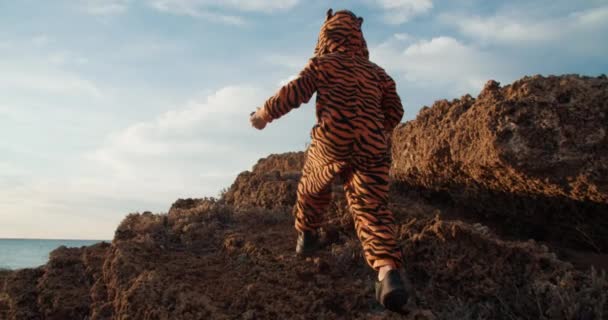 Ребенок в костюме тигра покоряет гору с видом на море и бросает камень — стоковое видео