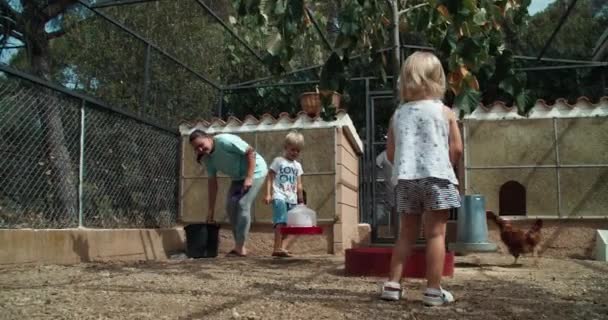 Niños con mujer joven preocupándose por los pollos en el gallinero de la casa rústica — Vídeos de Stock