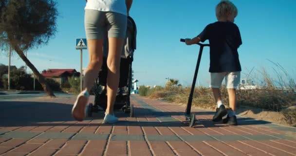 Rear view of walking happy family at promenade on summer evening — Stock Video
