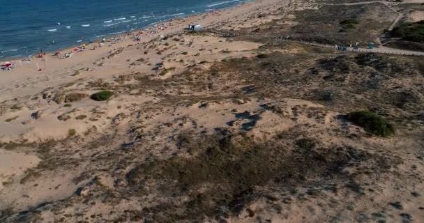 ドローンは野生のビーチを見下ろす砂丘の上を低飛行し、夏を楽しむ観光客 — ストック動画