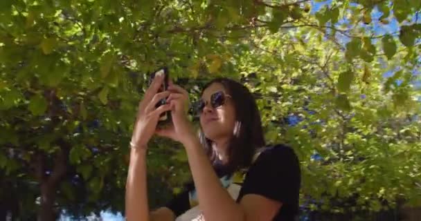 Wanita menarik dengan kacamata hitam menggunakan telepon pintar mengetik pesan di media sosial — Stok Video