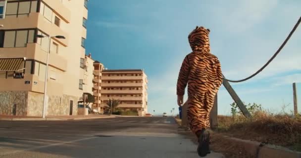 Vue arrière de l'enfant allant loin dans la rue habillé en costume de tigre — Video