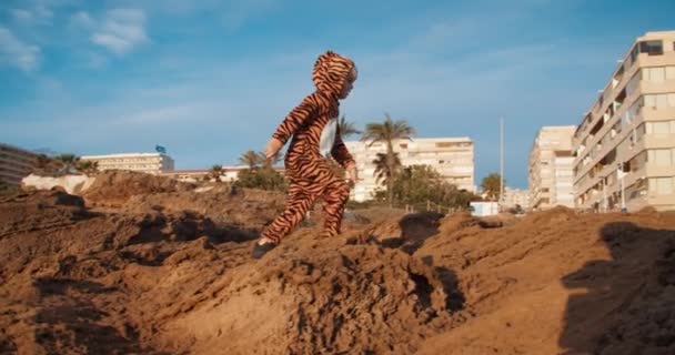 Menino bonito andando em traje de tigre nas rochas no nascer do sol da manhã — Vídeo de Stock