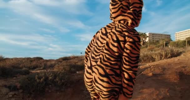Close up zadní pohled na malé dítě tygr kostým pěší turistika na skalní pláži v dopoledních hodinách — Stock video