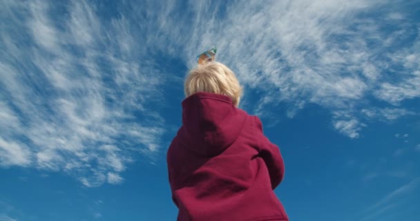 Vista posterior del niño bebé niño jugando con cometa en el día ventoso al aire libre — Vídeo de stock