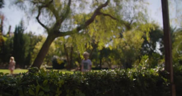 I bambini che camminano nel parco verde della città e piuma bianca cadono lentamente in primo piano — Video Stock