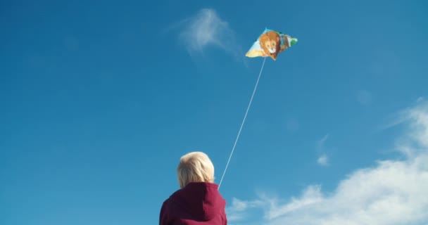 Vedere din spate a băiețelului copil care se joacă cu zmeu în ziua vântului în aer liber — Videoclip de stoc