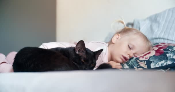 Små barn flicka ligger med svart katt i vardagsrummet — Stockvideo