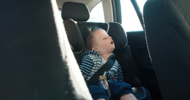 Niña niño está durmiendo en setas traseras dentro del vehículo durante el viaje — Vídeo de stock