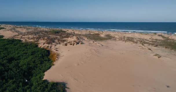 Drone πετά χαμηλά πάνω από αμμόλοφους με θέα άγρια παραλία και toursit απολαμβάνοντας το καλοκαίρι — Αρχείο Βίντεο