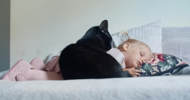 Små barn flicka ligger med svart katt i vardagsrummet — Stockvideo