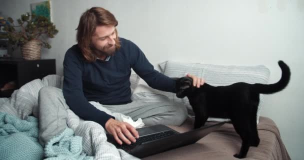 Чоловік з хворобою кашляє і працює з комп'ютером в ліжку кіт ходить навколо — стокове відео